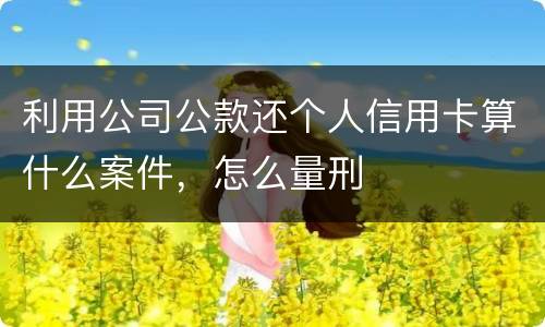 利用公司公款还个人信用卡算什么案件，怎么量刑