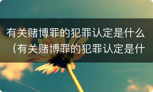 有关赌博罪的犯罪认定是什么（有关赌博罪的犯罪认定是什么标准）