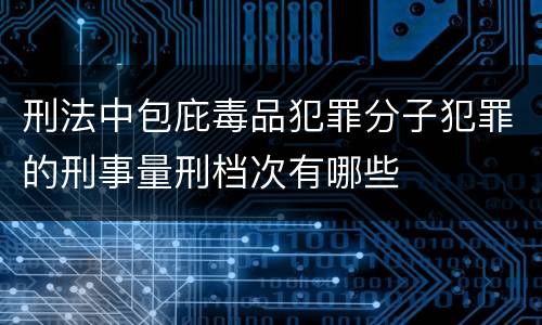 刑法中包庇毒品犯罪分子犯罪的刑事量刑档次有哪些