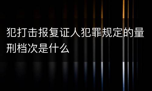 犯打击报复证人犯罪规定的量刑档次是什么