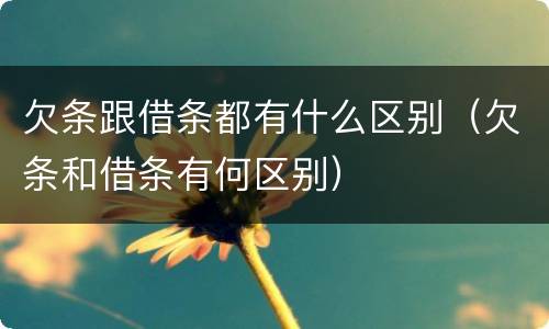 欠条跟借条都有什么区别（欠条和借条有何区别）