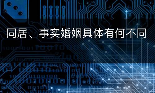 同居、事实婚姻具体有何不同
