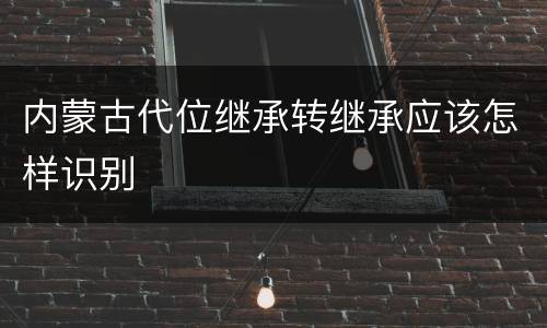 内蒙古代位继承转继承应该怎样识别