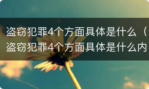 盗窃犯罪4个方面具体是什么（盗窃犯罪4个方面具体是什么内容）