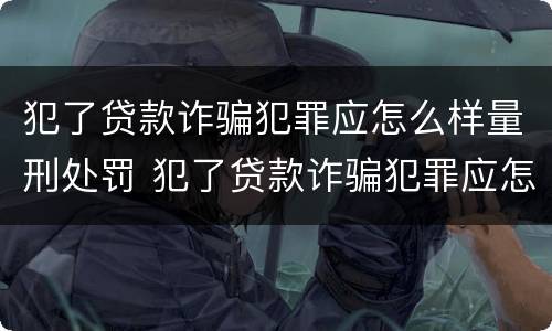犯了贷款诈骗犯罪应怎么样量刑处罚 犯了贷款诈骗犯罪应怎么样量刑处罚案例