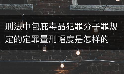 刑法中包庇毒品犯罪分子罪规定的定罪量刑幅度是怎样的