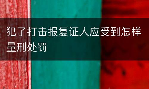 犯了打击报复证人应受到怎样量刑处罚