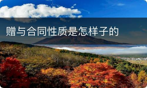 赠与合同性质是怎样子的
