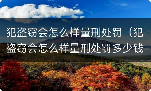 犯盗窃会怎么样量刑处罚（犯盗窃会怎么样量刑处罚多少钱）
