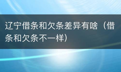 辽宁借条和欠条差异有啥（借条和欠条不一样）