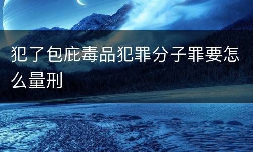犯了包庇毒品犯罪分子罪要怎么量刑
