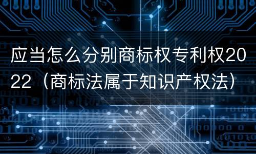 应当怎么分别商标权专利权2022（商标法属于知识产权法）