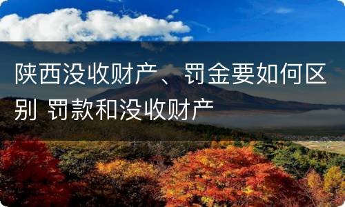 陕西没收财产、罚金要如何区别 罚款和没收财产