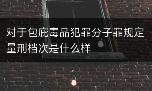 对于包庇毒品犯罪分子罪规定量刑档次是什么样