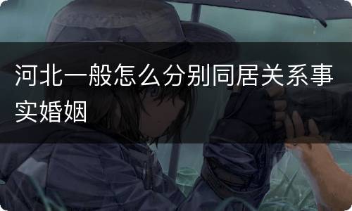 河北一般怎么分别同居关系事实婚姻