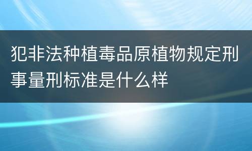 犯非法种植毒品原植物规定刑事量刑标准是什么样