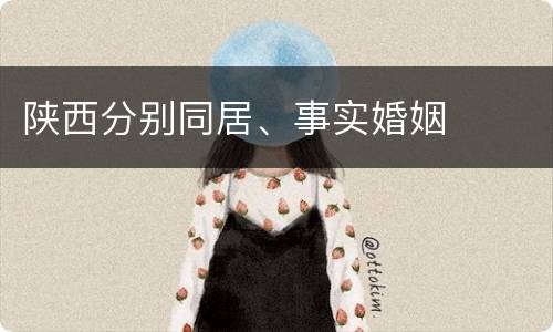 陕西分别同居、事实婚姻