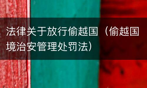 法律关于放行偷越国(偷越国境治安管理处罚法)