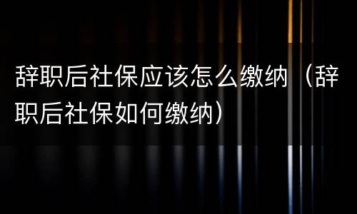 辞职后社保应该怎么缴纳（辞职后社保如何缴纳）