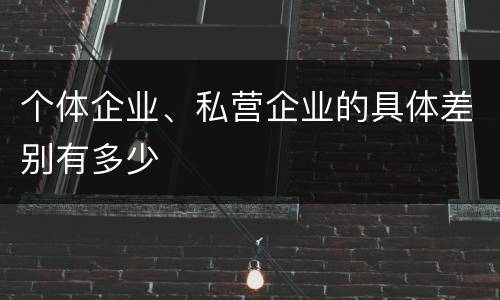 个体企业、私营企业的具体差别有多少