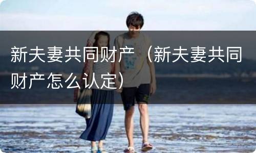新夫妻共同财产（新夫妻共同财产怎么认定）