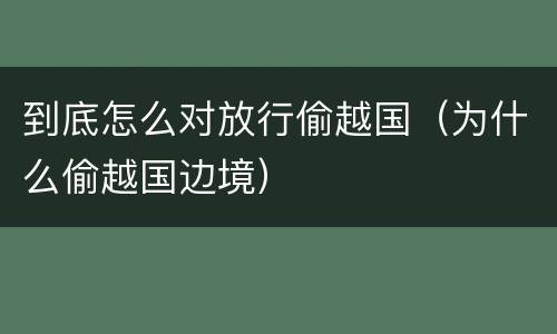 到底怎么对放行偷越国（为什么偷越国边境）