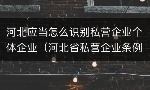 河北应当怎么识别私营企业个体企业（河北省私营企业条例）