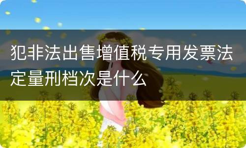 犯非法出售增值税专用发票法定量刑档次是什么