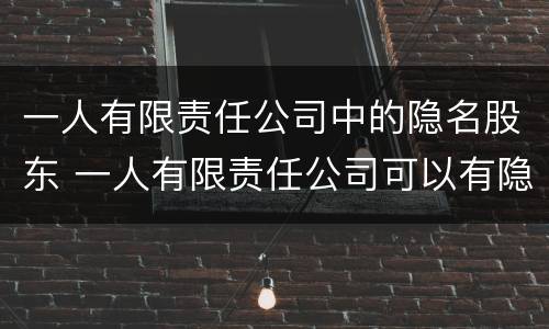 一人有限责任公司中的隐名股东 一人有限责任公司可以有隐名股东吗