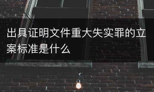 出具证明文件重大失实罪的立案标准是什么