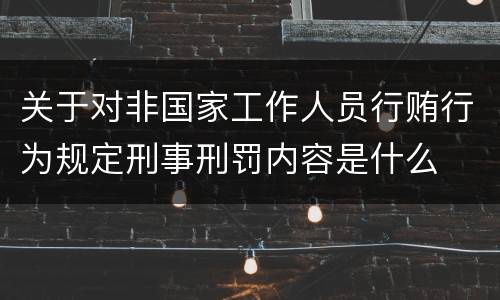 关于对非国家工作人员行贿行为规定刑事刑罚内容是什么