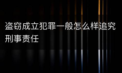 盗窃成立犯罪一般怎么样追究刑事责任