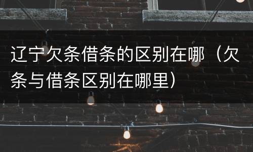 辽宁欠条借条的区别在哪（欠条与借条区别在哪里）