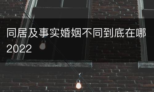 同居及事实婚姻不同到底在哪2022