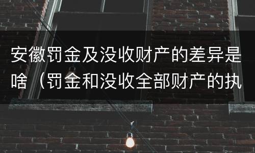 安徽罚金及没收财产的差异是啥（罚金和没收全部财产的执行顺序）