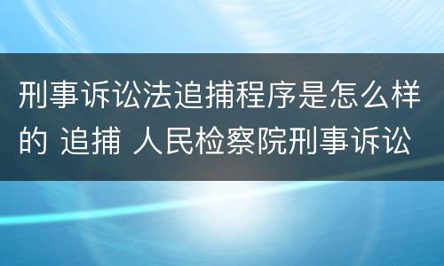 刑事诉讼法追捕程序是怎么样的 追捕 人民检察院刑事诉讼规则