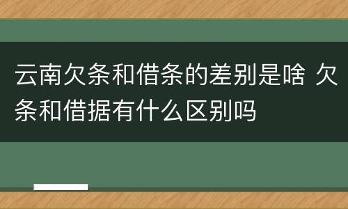 云南欠条和借条的差别是啥 欠条和借据有什么区别吗