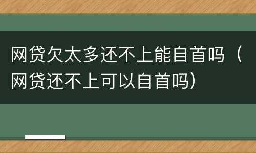 网贷欠太多还不上能自首吗（网贷还不上可以自首吗）