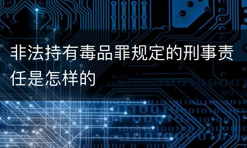 非法持有毒品罪规定的刑事责任是怎样的