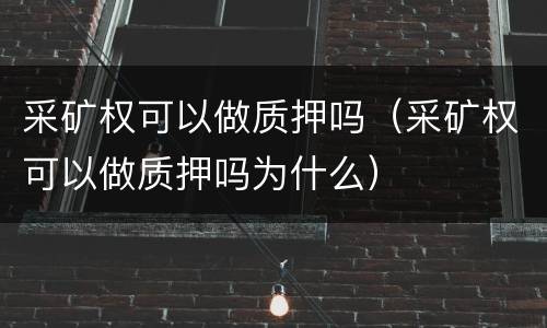 采矿权可以做质押吗（采矿权可以做质押吗为什么）