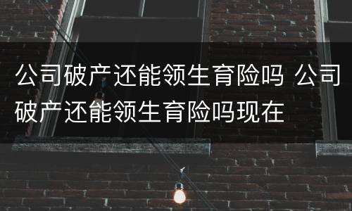 公司破产还能领生育险吗 公司破产还能领生育险吗现在