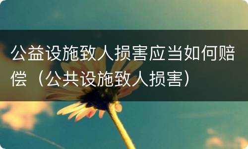 公益设施致人损害应当如何赔偿（公共设施致人损害）