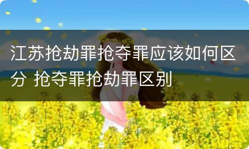 江苏抢劫罪抢夺罪应该如何区分 抢夺罪抢劫罪区别