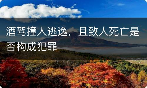酒驾撞人逃逸，且致人死亡是否构成犯罪