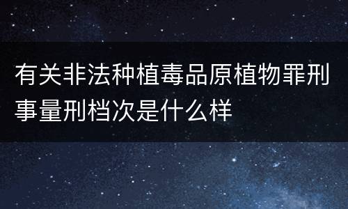 有关非法种植毒品原植物罪刑事量刑档次是什么样
