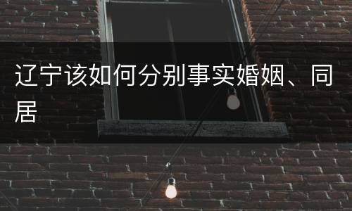 辽宁该如何分别事实婚姻、同居