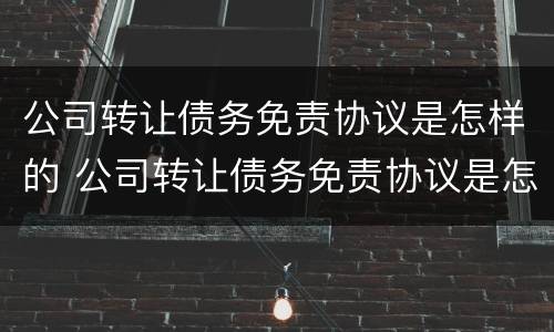 公司转让债务免责协议是怎样的 公司转让债务免责协议是怎样的呢