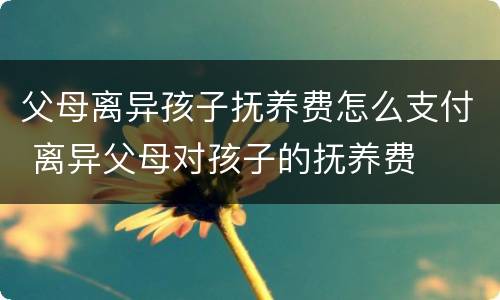 父母离异孩子抚养费怎么支付 离异父母对孩子的抚养费