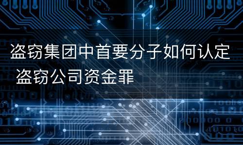 盗窃集团中首要分子如何认定 盗窃公司资金罪