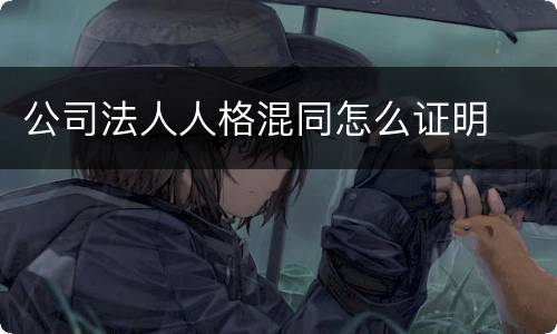 公司法人人格混同怎么证明
